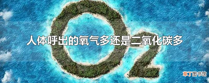 人体呼出的氧气多还是二氧化碳多