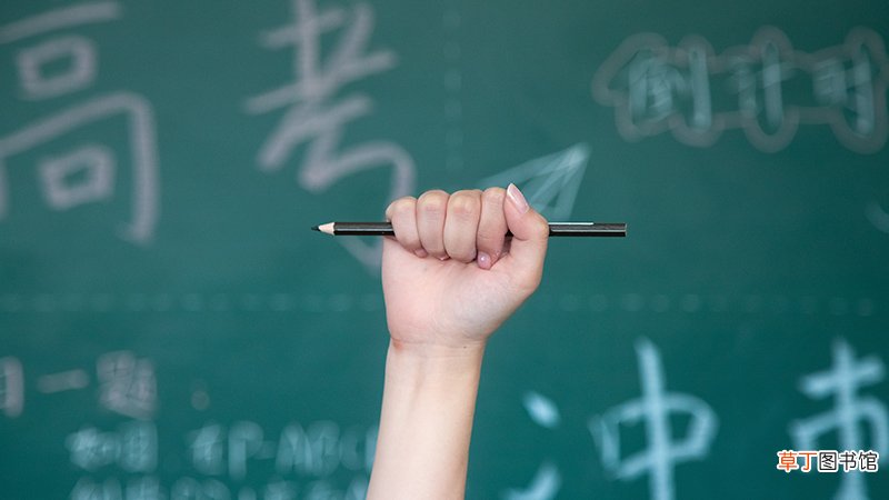 山东省高考招生办电话是什么