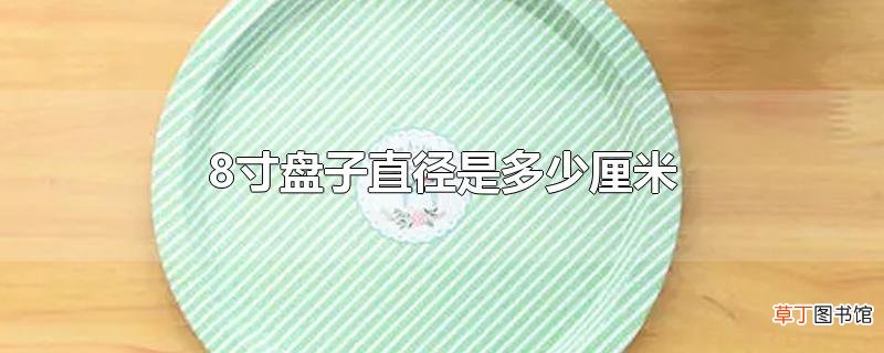 8寸盘子直径是多少厘米