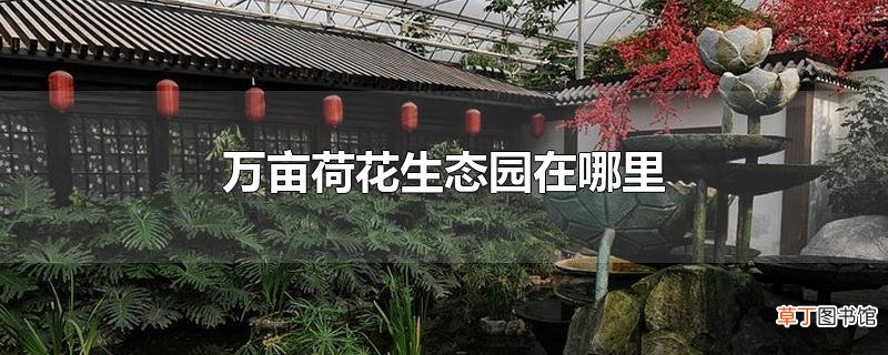 万亩荷花生态园在哪里