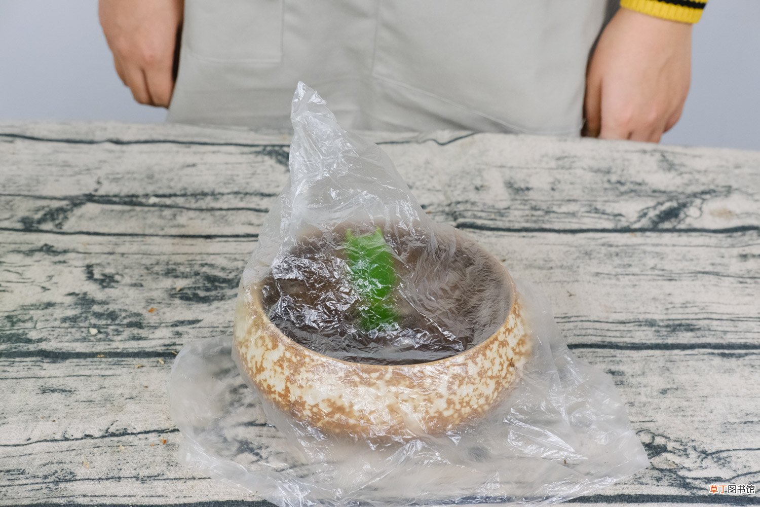 蟹爪兰能放卧室吗