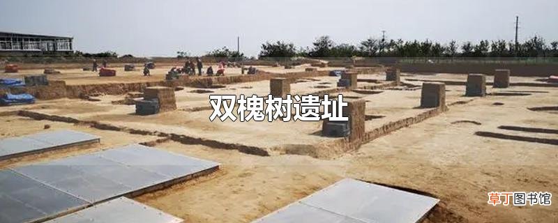 双槐树遗址