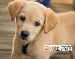 和平精英黑点符号 黑点符号