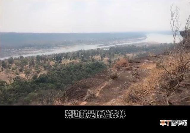 泰国坠崖孕妇再忆事发细节，获周海媚暖心力挺