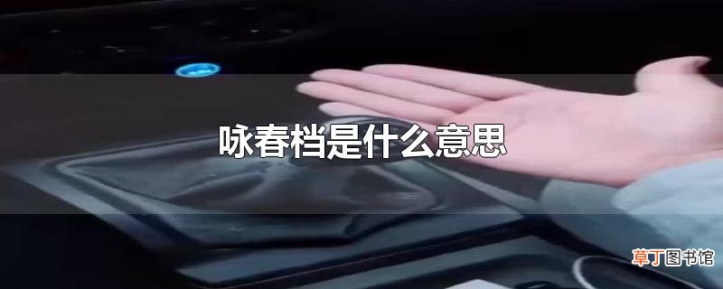 咏春档是什么意思