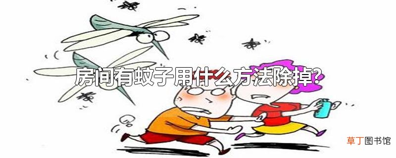 房间有蚊子用什么方法除掉?