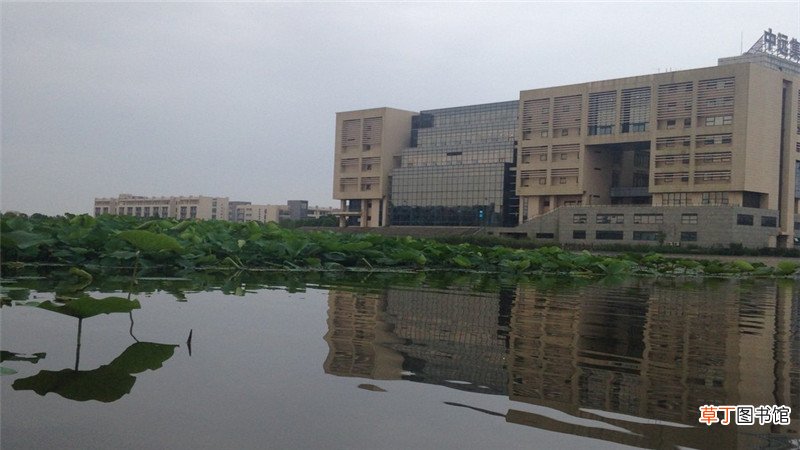 上海海事大学研究生分数线