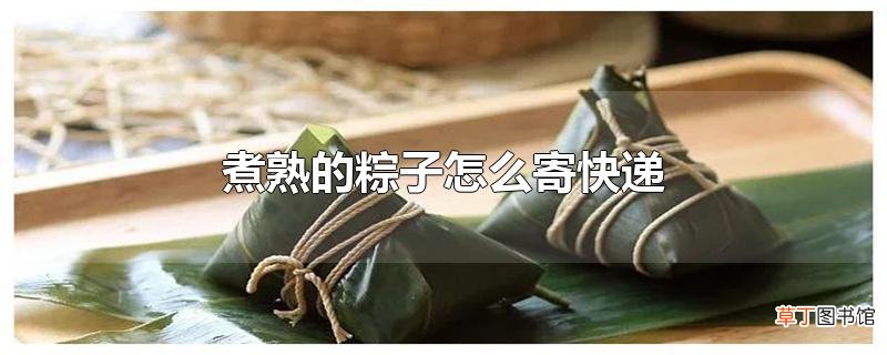 煮熟的粽子怎么寄快递