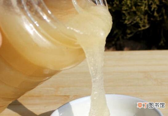 水白蜜槐花有什么功效与作用