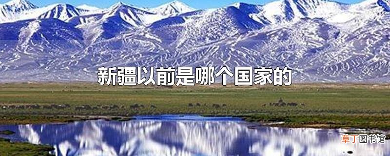 新疆以前是哪个国家的