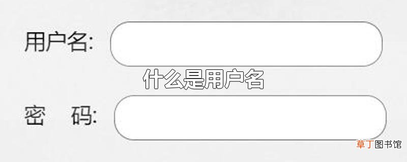 什么是用户名