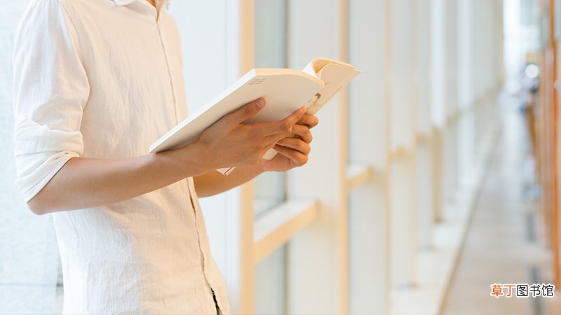 山东可以专升本的公办大学有哪些