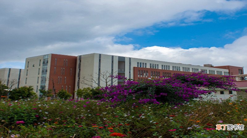 昆明医科大学就业去向