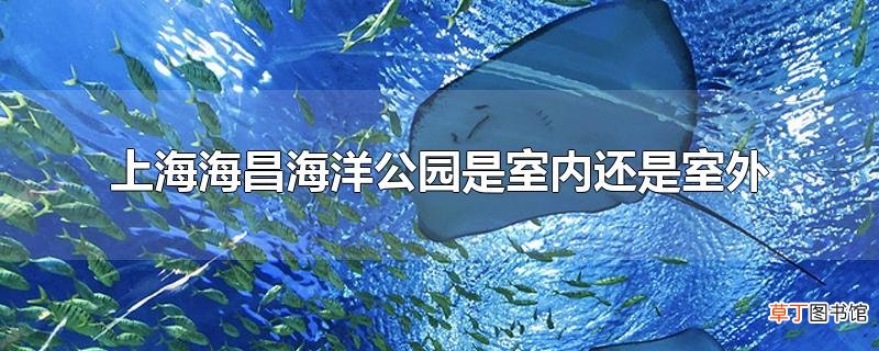 上海海昌海洋公园是室内还是室外