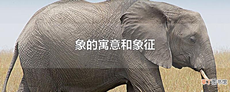 象的寓意和象征
