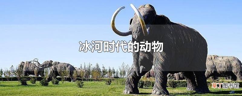 冰河时代的动物