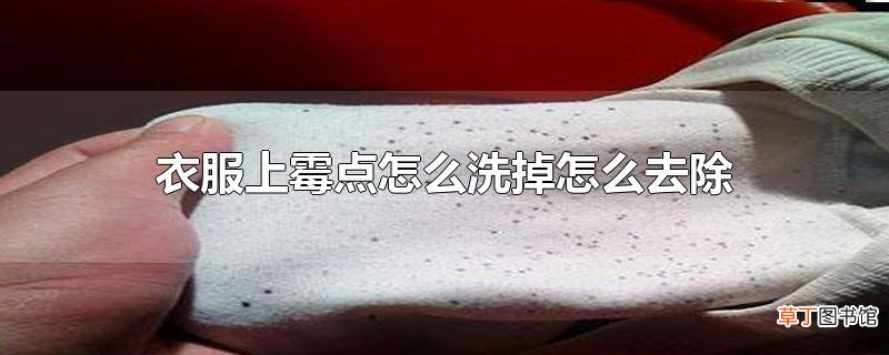 衣服上霉点怎么洗掉怎么去除