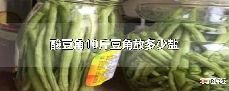 酸豆角10斤豆角放多少盐