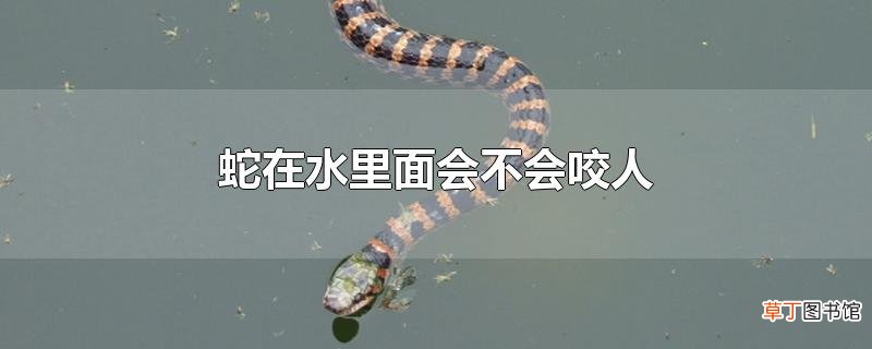 蛇在水里面会不会咬人