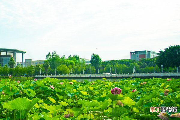西南政法大学毕业去向