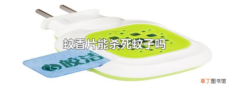 蚊香片能杀死蚊子吗
