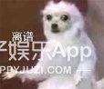 韩国男，自信点儿吧