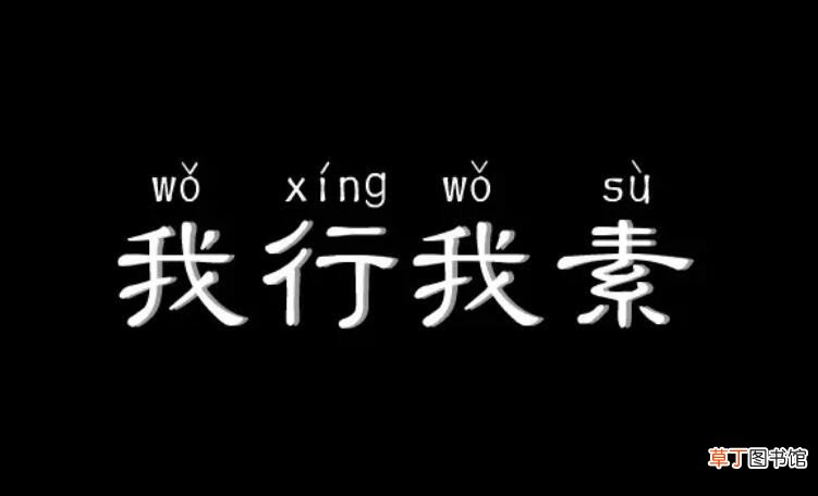 关于我行我素的句子有哪些