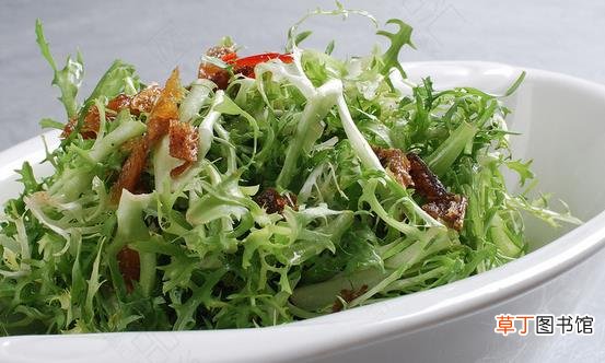 豆豉鱼拌苦菊三款常见的做法 做好苦菊美食有帮助