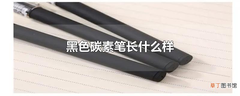 黑色碳素笔长什么样