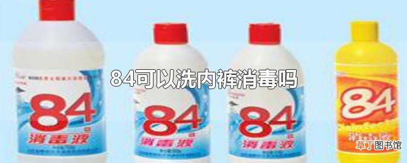 84可以洗内裤消毒吗