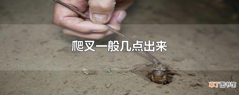 爬叉一般几点出来