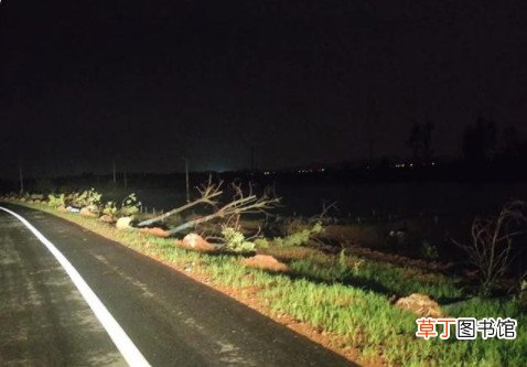 武汉龙卷风原因 武汉龙卷风已致6死218伤