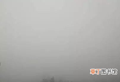 大雾产生的原因 青岛市发布大雾黄色预警