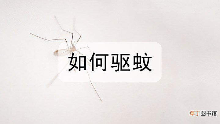 如何驱蚊