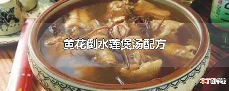 黄花倒水莲煲汤配方