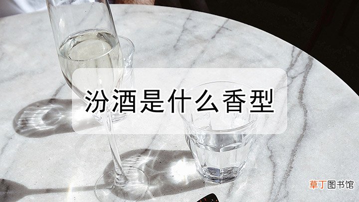 汾酒是什么香型