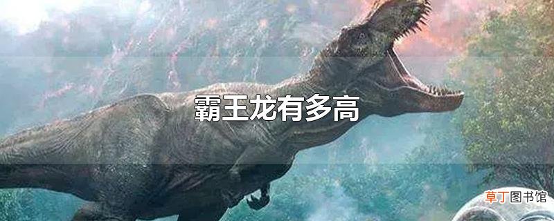 霸王龙有多高