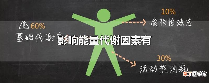 影响能量代谢的因素有