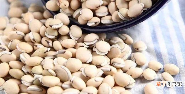 白扁豆的功效是什么 白扁豆都有哪些吃法