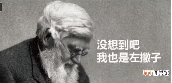 左撇子比右撇子聪明是真的吗 8月13日是什么日子