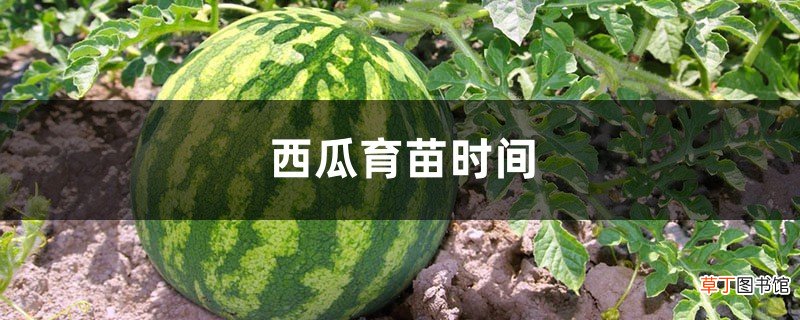 西瓜的育苗时间