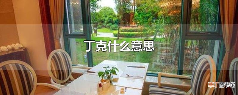 丁克什么意思