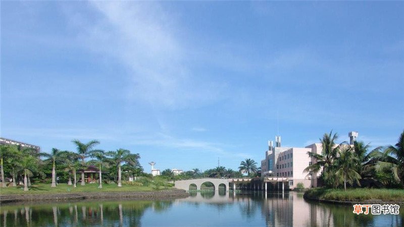 中国农业大学考研分数