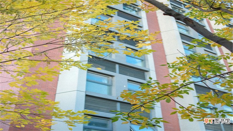 中国农业大学考研分数