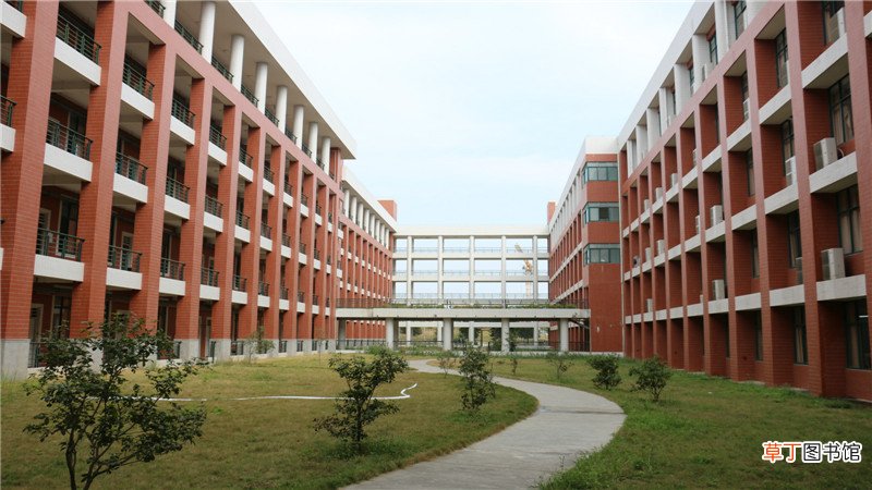 雷丁大学的国内认可度