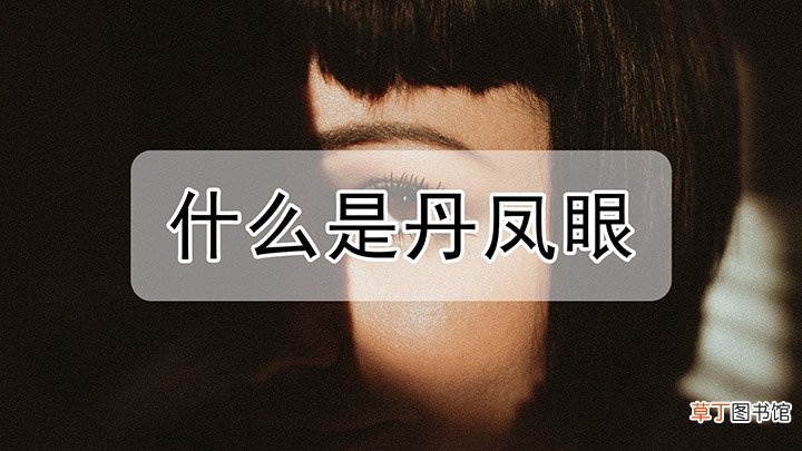 什么样子是丹凤眼