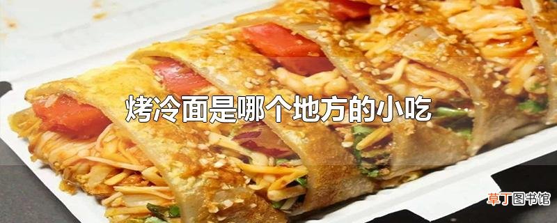 烤冷面是哪个地方的小吃