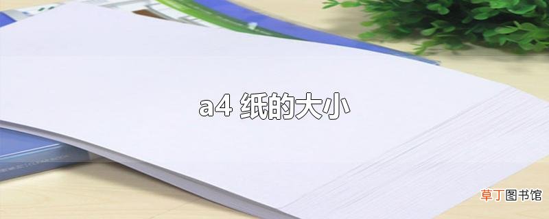 a4 纸的大小