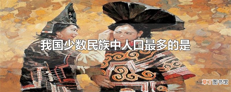 我国少数民族中人口最多的是