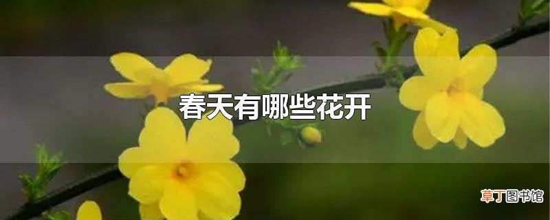 春天有哪些花开